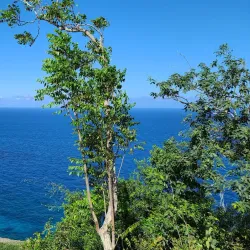 Yumurí River - Baracoa