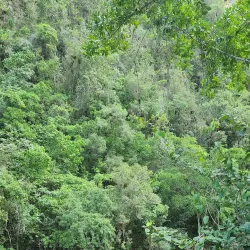 Yumurí River - Baracoa