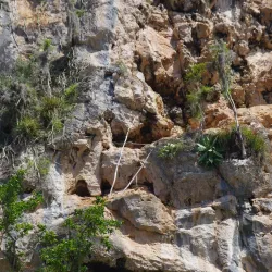 Yumurí River - Baracoa