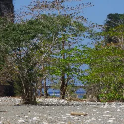 Yumurí River - Baracoa