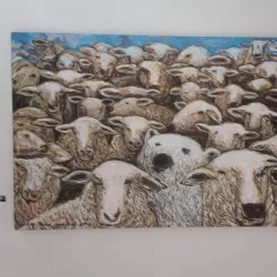 Galería de Arte Universal - Camagüey