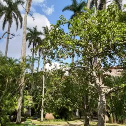 Museo Provincial Ignacio Agramonte - Camagüey