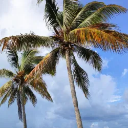 Cayo Coco Beach - Cayo Coco