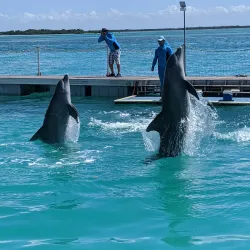 Dolphinarium at Cayo Coco - Cayo Coco