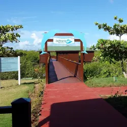 Dolphinarium at Cayo Coco - Cayo Coco