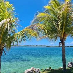 Dolphinarium at Cayo Coco - Cayo Coco