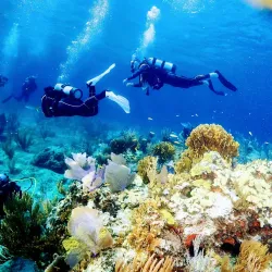 Snorkeling and Diving Sites - Cayo Coco