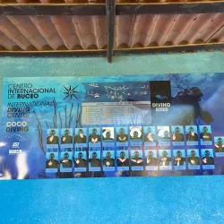 Snorkeling and Diving Sites - Cayo Coco