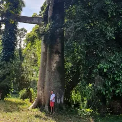 Jardín Botánico de Cienfuegos - Cienfuegos