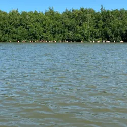 Laguna Guanaroca - Cienfuegos