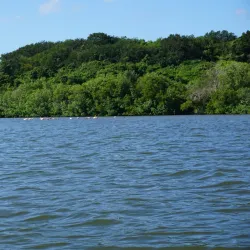 Laguna Guanaroca - Cienfuegos