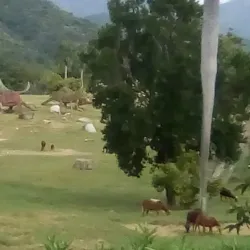 Parque Natural Baconao (nearby) - Contramaestre