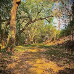 Rural Hiking Trails - Contramaestre