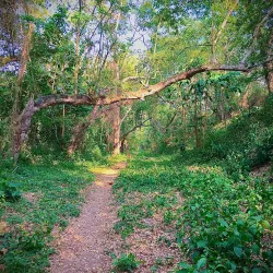 Rural Hiking Trails - Contramaestre