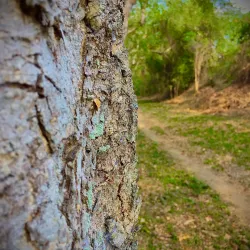 Rural Hiking Trails - Contramaestre