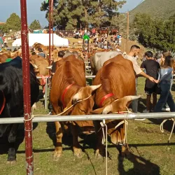 Estadio Municipal de Florida - Florida