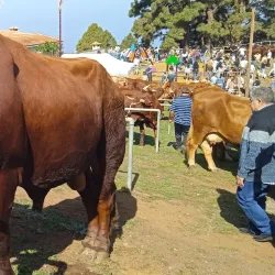 Estadio Municipal de Florida - Florida