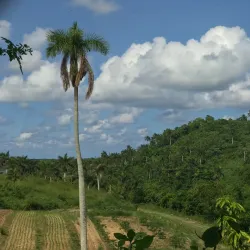 Agricultural Tours - Güines