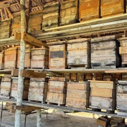 Agricultural Tours - Güines