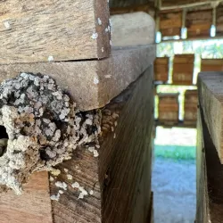 Agricultural Tours - Güines