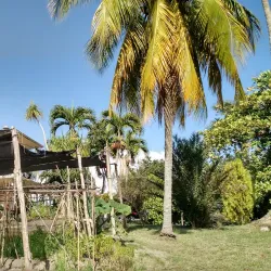 Agricultural Tours - Güines