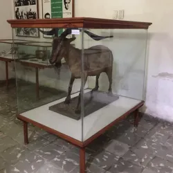 Museo Municipal de Güines - Güines