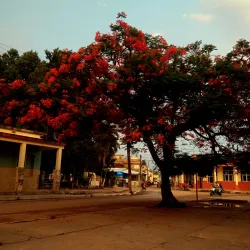 Parque Central de Güines - Güines