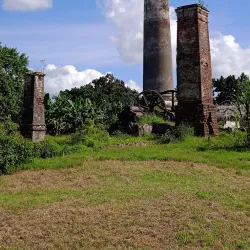 Sugar Mill Ruins - Güines