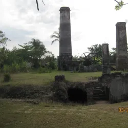Sugar Mill Ruins - Güines