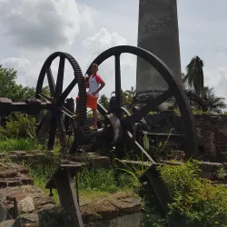 Sugar Mill Ruins - Güines