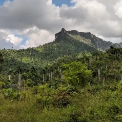 El Yunque - Guantanamo
