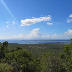 Guantanamo Bay - Guantanamo