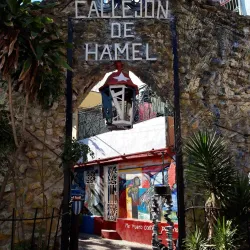 Callejón de Hamel - Havana