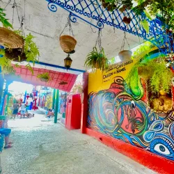 Callejón de Hamel - Havana