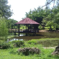 Jardín Botánico Nacional de Cuba - Havana