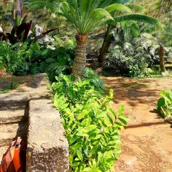 Jardín Botánico Nacional de Cuba - Havana