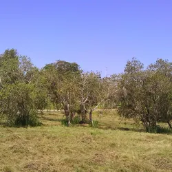 Jardín Botánico Nacional de Cuba - Havana