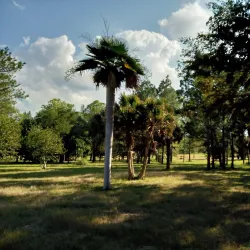 Jardín Botánico Nacional de Cuba - Havana