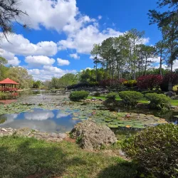 Jardín Botánico Nacional de Cuba - Havana