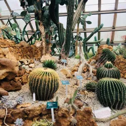 Jardín Botánico Nacional de Cuba - Havana