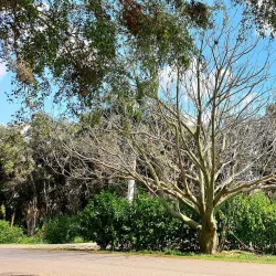 Jardín Botánico Nacional de Cuba - Havana