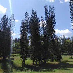Jardín Botánico Nacional de Cuba - Havana