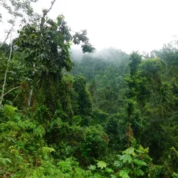Alejandro de Humboldt National Park - Holguin