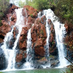 Cueva de Moa - Holguin