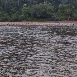 Cueva de Moa - Holguin