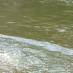 Cueva de Moa - Holguin