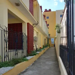 Community Cultural Events - La Lima