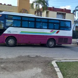 Community Cultural Events - La Lima