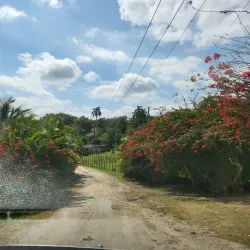 Local Farms and Agricultural Tours - La Lima
