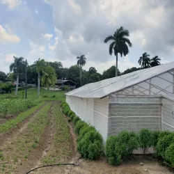 Local Farms and Agricultural Tours - La Lima